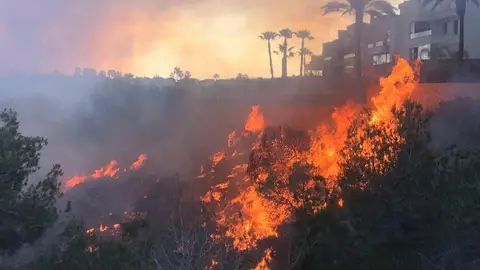 El incendio en Orihuela costa que obligó a desalojar a unas 50 personas ha calcinado 3 hectáreas El incendio en Orihuela costa que obligó a desalojar a unas 50 personas ha calcinado 3 hectáreas
