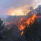 El incendio en Orihuela costa que obligó a desalojar a unas 50 personas ha calcinado 3 hectáreas El incendio en Orihuela costa que obligó a desalojar a unas 50 personas ha calcinado 3 hectáreas