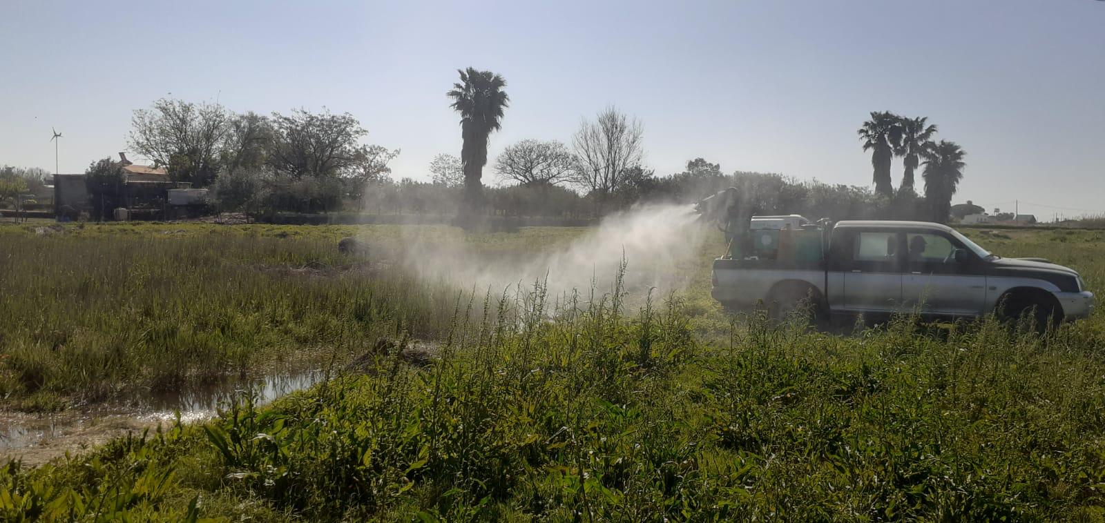 Castellón intensifica los tratamientos contra los mosquitos en zonas de marjal, el Grao y los imbornales de la ciudad Castellón intensifica los tratamientos contra los mosquitos en zonas de marjal, el Grao y los imbornales de la ciudad