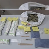 Droga incautada en Villajoyosa Droga incautada en Villajoyosa