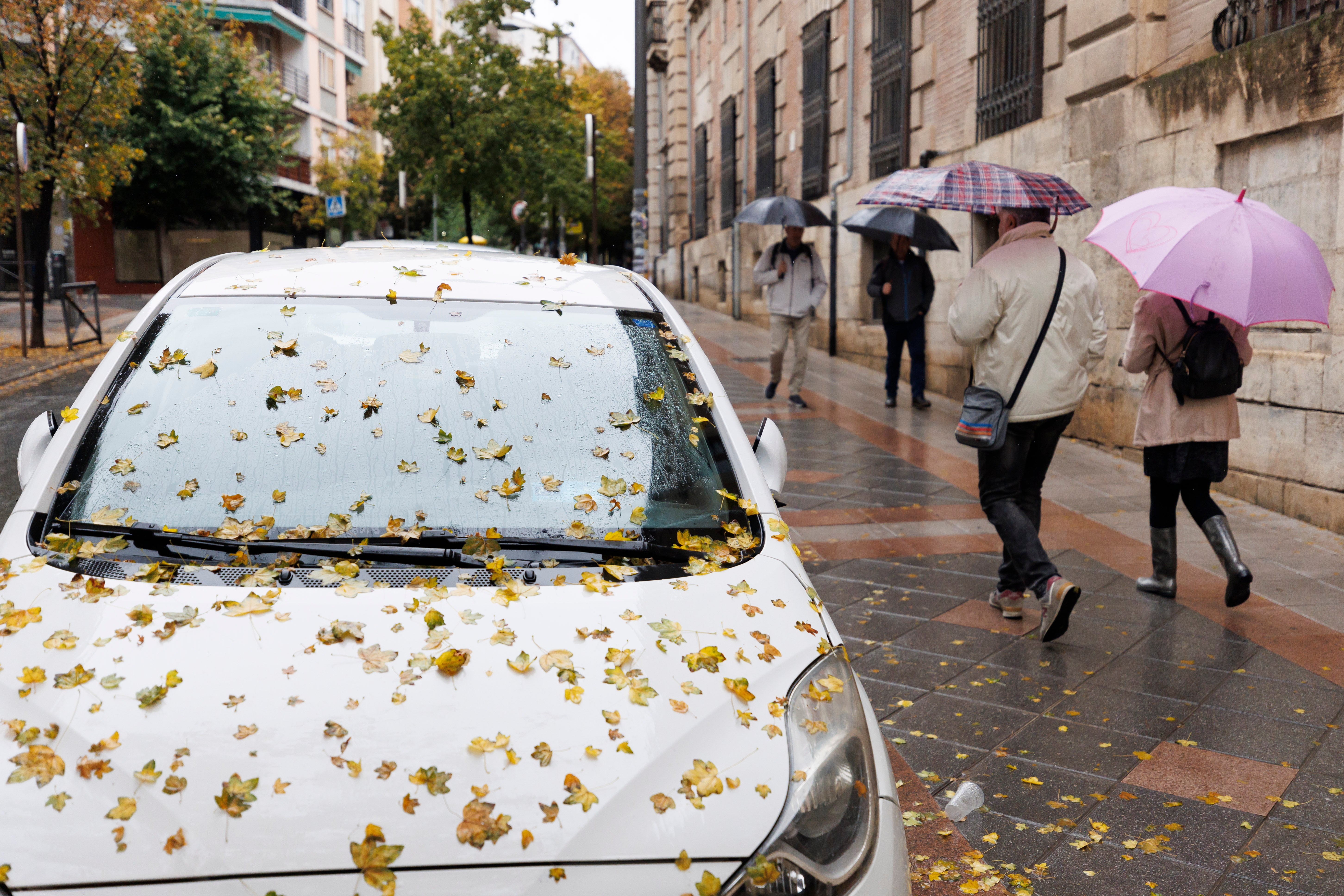 La AEMET activa la alerta por riesgo de lluvias intensas en Guadix y Baza La AEMET activa la alerta por riesgo de lluvias intensas en Guadix y Baza