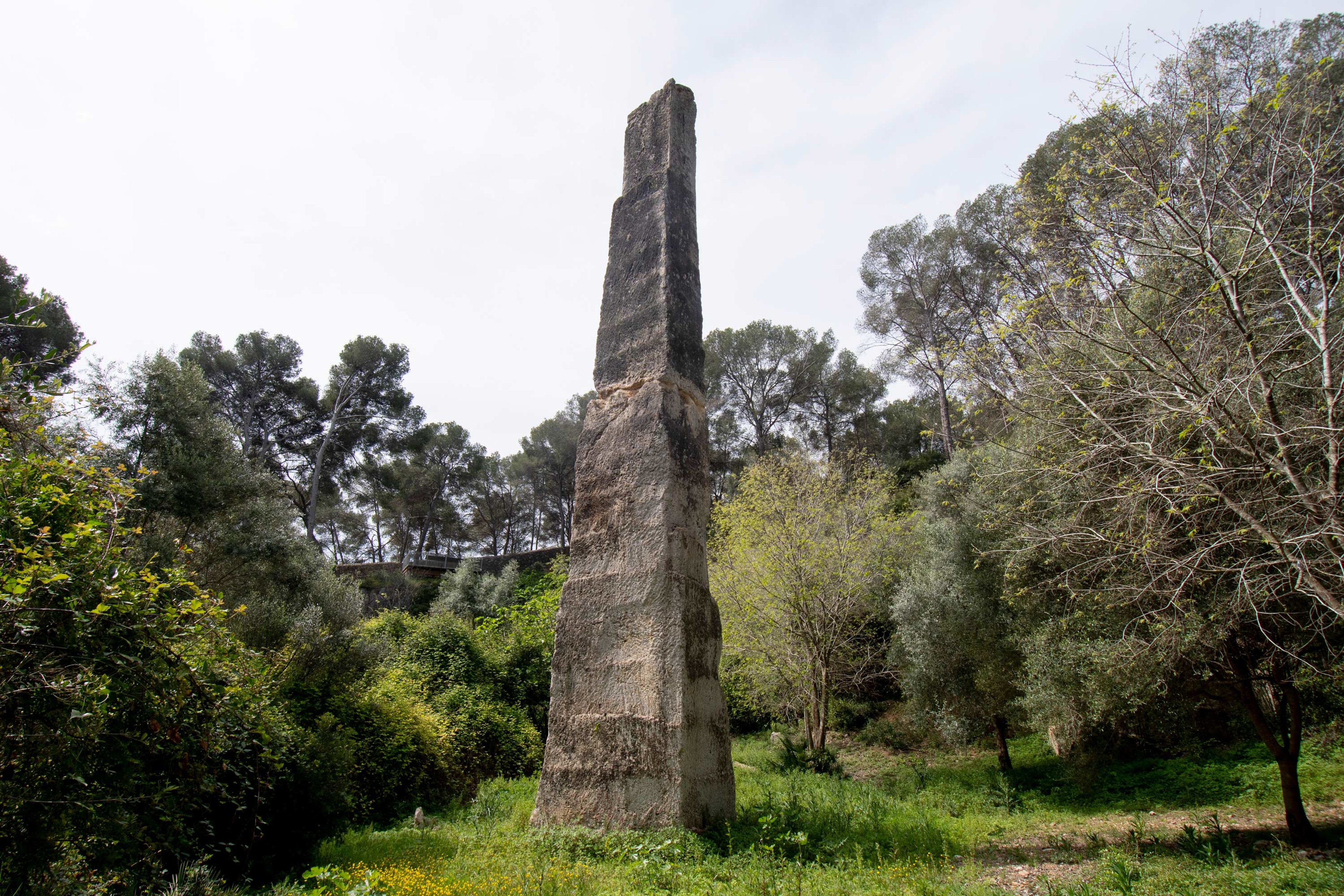 La pedrera romana del Mèdol s’incorpora al Museu Nacional Arqueològic de Tarragona La pedrera romana del Mèdol s’incorpora al Museu Nacional Arqueològic de Tarragona
