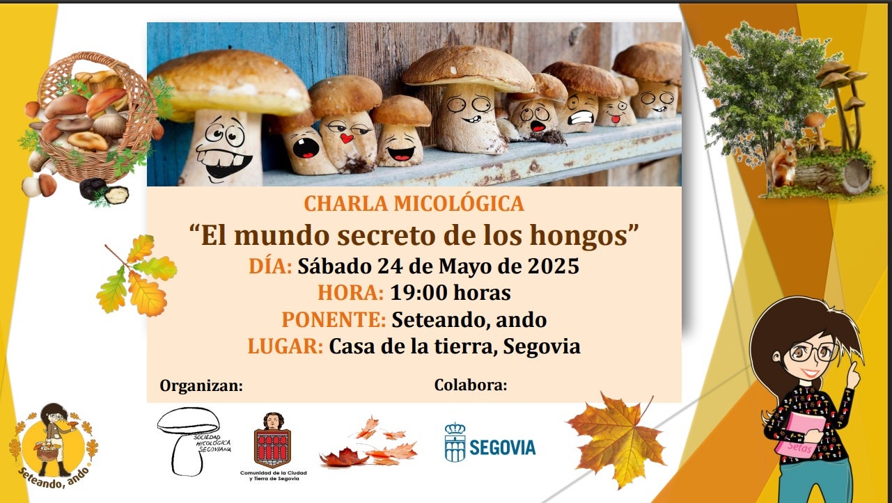 La Sociedad Micológica de Segovia prepara una salida a Pajares y una charla divulgativa para los próximos días La Sociedad Micológica de Segovia prepara una salida a Pajares y una charla divulgativa para los próximos días