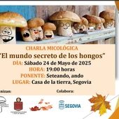 Charla Micológica Charla Micológica