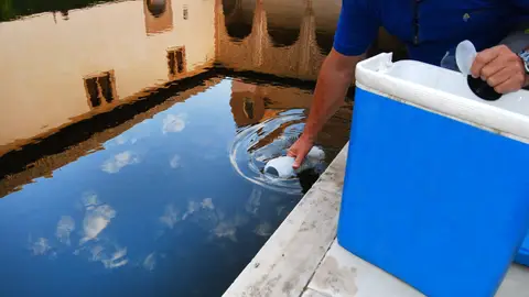 Cortada la red de presión de agua de la Alhambra para la limpieza del túnel del Barranco de las Cañas Cortada la red de presión de agua de la Alhambra para la limpieza del túnel del Barranco de las Cañas