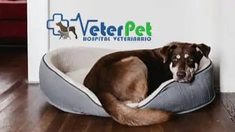Clínicas Veterinarias VeterPet Clínicas Veterinarias VeterPet