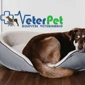 Clínicas Veterinarias VeterPet Clínicas Veterinarias VeterPet