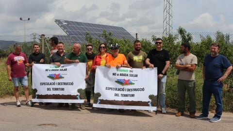 Agricultores de la Plana Baixa se oponen al proyecto fotovoltaico que podr&iacute;a arrasar con 280 hect&aacute;reas 