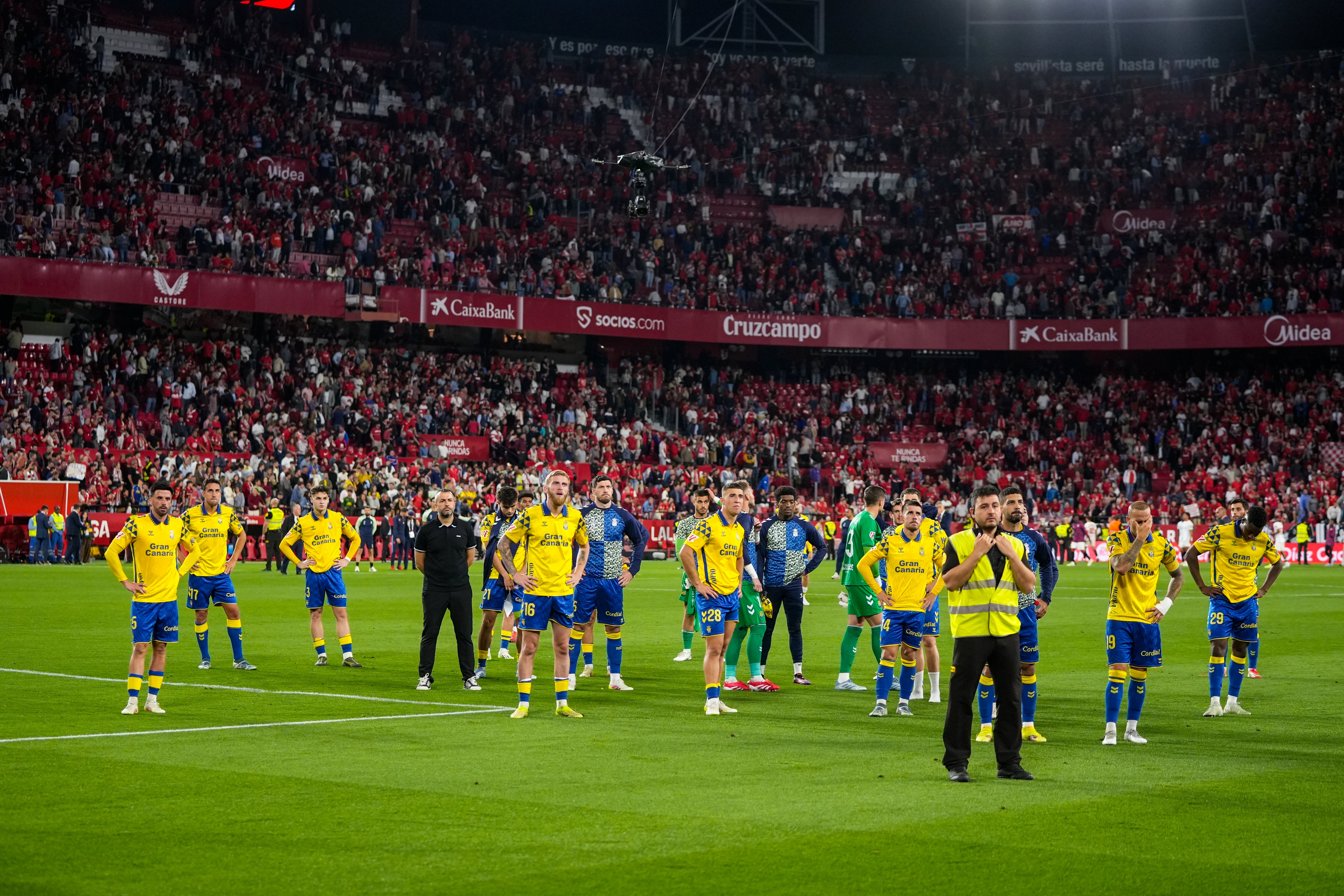 Miguel Ángel Ramirez: "Volveremos a ser un proyecto ilusionante para nuestros aficionados" Miguel Ángel Ramirez: "Volveremos a ser un proyecto ilusionante para nuestros aficionados"
