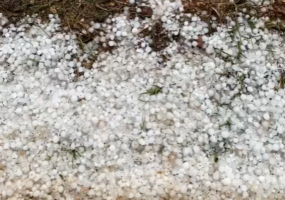 Nos acercamos a El Villar de Arnedo y a Ausejo para conocer los daños por el granizo caído ayer Nos acercamos a El Villar de Arnedo y a Ausejo para conocer los daños por el granizo caído ayer