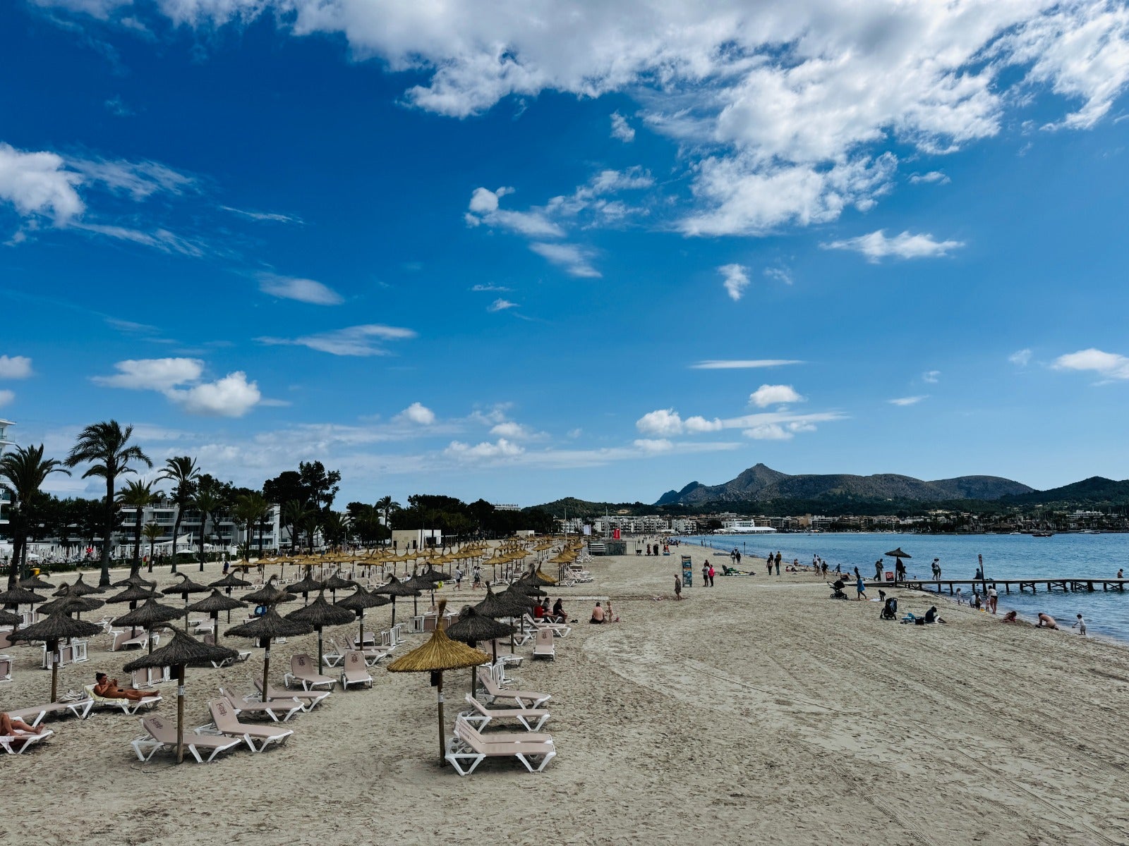 Alcúdia insiste en la sensibilización de los escolares en el Día de Educación Ambiental Alcúdia insiste en la sensibilización de los escolares en el Día de Educación Ambiental