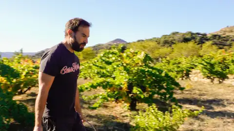 Jordi Solá Jordi Solá