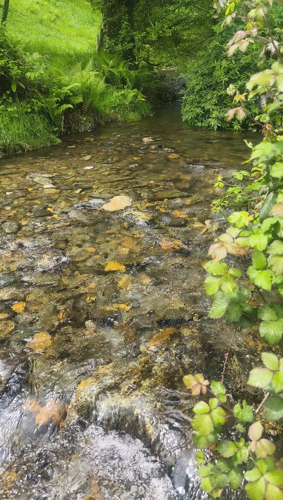 El rio unos metros antes del foco generador del agua amarillenta. El rio unos metros antes del foco generador del agua amarillenta.