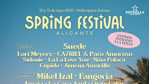 Spring festival 2025 Spring festival 2025