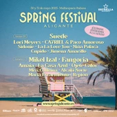 Spring festival 2025 Spring festival 2025