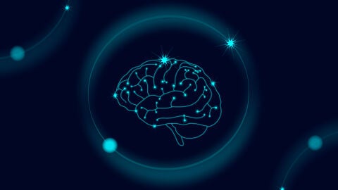 Ilustración de un cerebro humano
