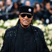 Stevie Wonder en la Met Gala