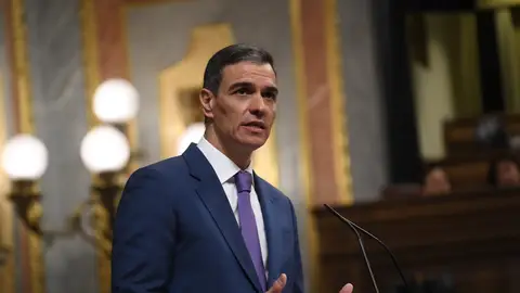El presidente del Gobierno, Pedro Sánchez, en el Congreso de los Diputados el 7 de mayo El presidente del Gobierno, Pedro Sánchez, en el Congreso de los Diputados el 7 de mayo