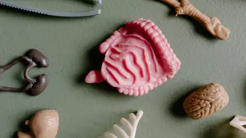 Aplican con éxito la Inteligencia Artificial para emparejar a donantes y receptores en trasplantes de hígado Aplican con éxito la Inteligencia Artificial para emparejar a donantes y receptores en trasplantes de hígado