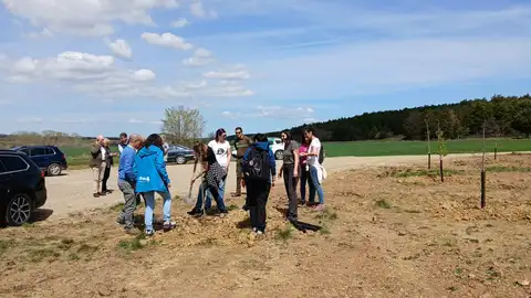 La Diputación de Palencia saca a licitación el contrato para la redacción de 31 Planes Municipales de Emergencia por Incendios Forestales .