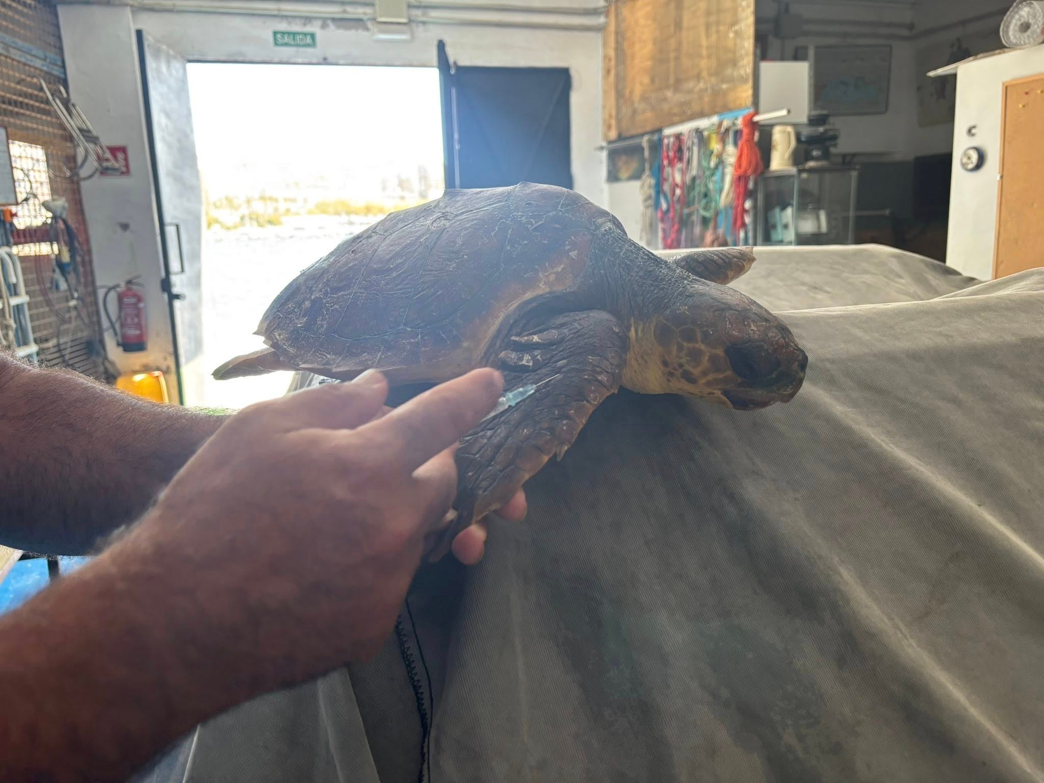 Más de uno Ceuta 19/5/25 Más de uno Ceuta 19/5/25