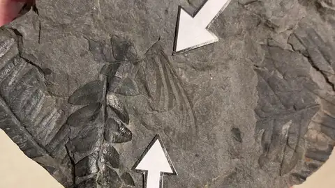 Pieza, donada por José Luis Garrido, forma parte ahora de la prestigiosa colección del MUPE. Pieza, donada por José Luis Garrido, forma parte ahora de la prestigiosa colección del MUPE.