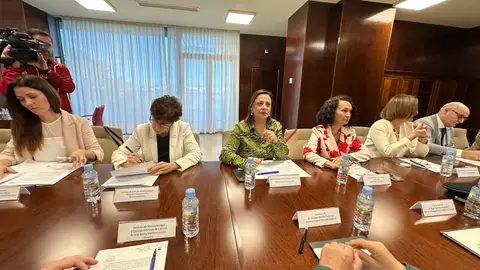 Comisión Permanente para la Prevención y Erradicación de la Violencia de Género Comisión Permanente para la Prevención y Erradicación de la Violencia de Género