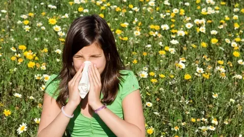 Granada alcanza niveles extremos de polen de olivo esta semana, según expertos Granada alcanza niveles extremos de polen de olivo esta semana, según expertos