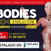 Bodies Evolution