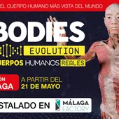 Bodies Evolution Bodies Evolution