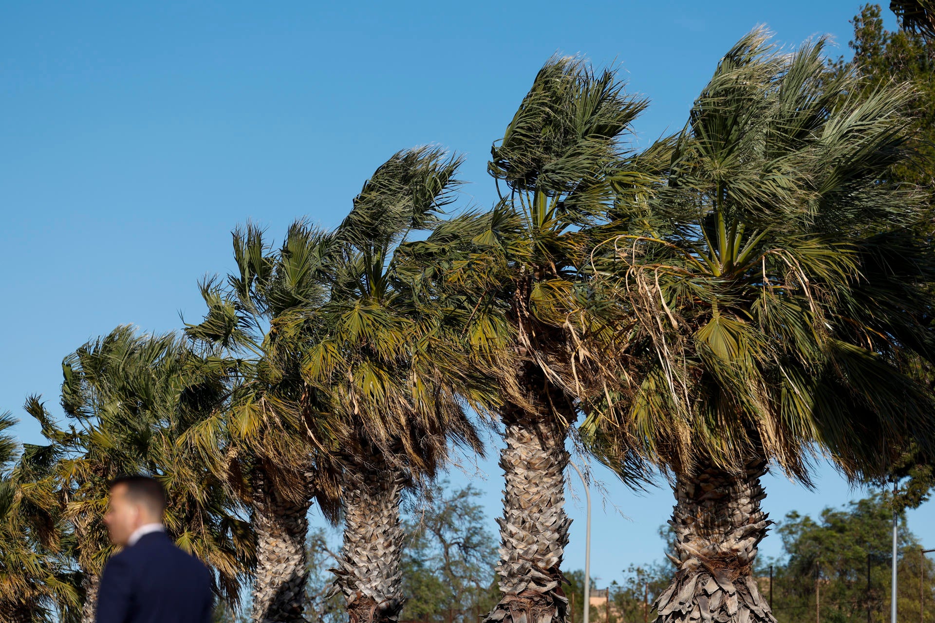 Aemet prevé rachas muy fuertes en el norte de Castellón y temperaturas sin cambios Aemet prevé rachas muy fuertes en el norte de Castellón y temperaturas sin cambios