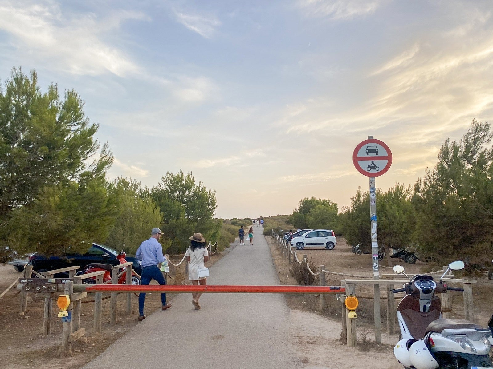 El Consell de Formentera avanza en la regulación de accesos, transporte y gestión ambiental para proteger la isla en temporada alta El Consell de Formentera avanza en la regulación de accesos, transporte y gestión ambiental para proteger la isla en temporada alta