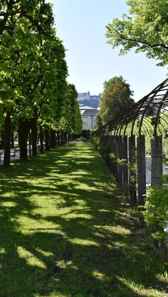 Jardines de Mirabell - Salzburgo Jardines de Mirabell - Salzburgo