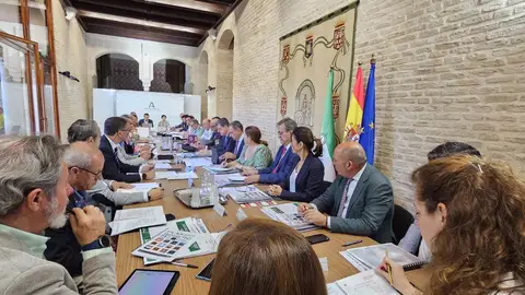 Los caminos de Sevilla al Rocío contarán con nidos de drones, nuevas cámaras y una web Los caminos de Sevilla al Rocío contarán con nidos de drones, nuevas cámaras y una web