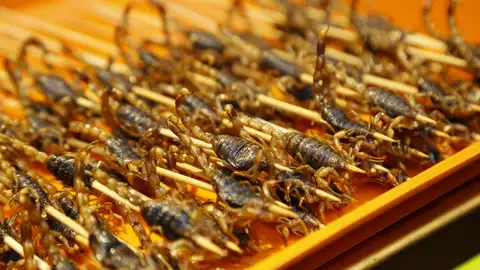 Estos son los insectos que debes comer para sustituir a la carne Estos son los insectos que debes comer para sustituir a la carne