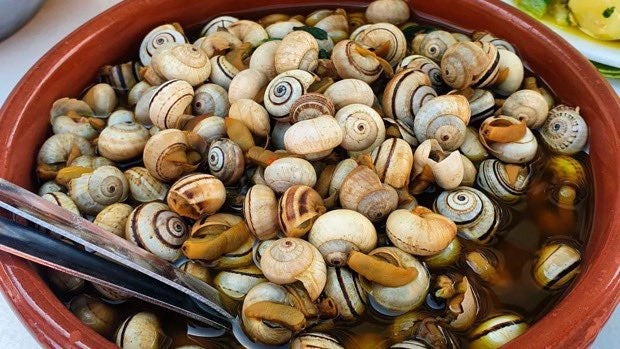 Más de uno Sevilla 23/05/2025 Más de uno Sevilla 23/05/2025