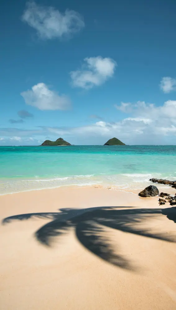 Islas Revillagigedo Islas Revillagigedo