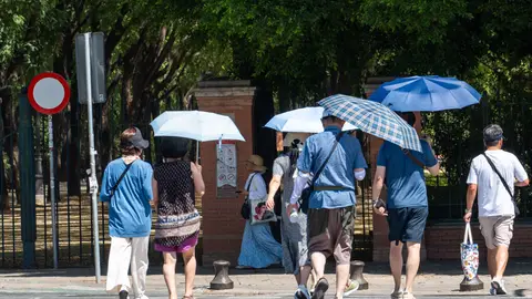 Personas caminando con sombrillas por las calles de Sevilla a 47 grados de temperatura, a 24 de julio de 2024. Personas caminando con sombrillas por las calles de Sevilla a 47 grados de temperatura, a 24 de julio de 2024.