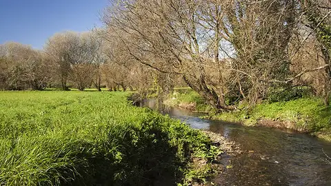 Adjudicadas las obras de restauración ambiental del Jardín Botánico y de renaturalización de las zonas verdes de Cornes y Pontepedriña Adjudicadas las obras de restauración ambiental del Jardín Botánico y de renaturalización de las zonas verdes de Cornes y Pontepedriña