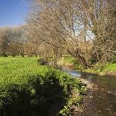 Adjudicadas las obras de restauración ambiental del Jardín Botánico y de renaturalización de las zonas verdes de Cornes y Pontepedriña