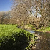 Adjudicadas las obras de restauración ambiental del Jardín Botánico y de renaturalización de las zonas verdes de Cornes y Pontepedriña Adjudicadas las obras de restauración ambiental del Jardín Botánico y de renaturalización de las zonas verdes de Cornes y Pontepedriña