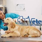 'Tu mascota en la Onda' es un espacio ofrecido por Clínicas Veterinarias VeterPet en la Vega Baja