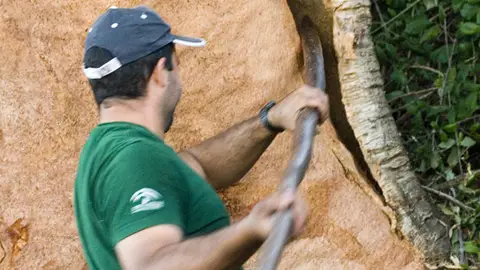 Una jornada de Cicytex busca visibilizar las oportunidades del sector corchero el próximo 3 de junio Una jornada de Cicytex busca visibilizar las oportunidades del sector corchero el próximo 3 de junio