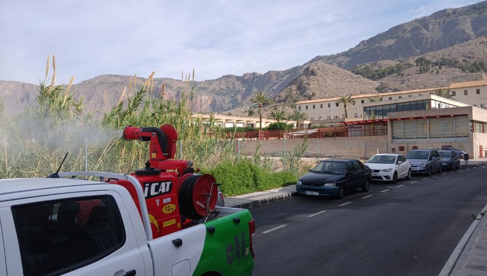 Control de plagas en Orihuela