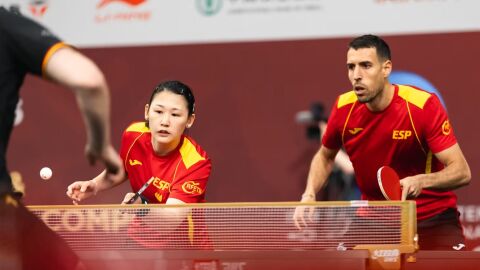 Tenis mesa