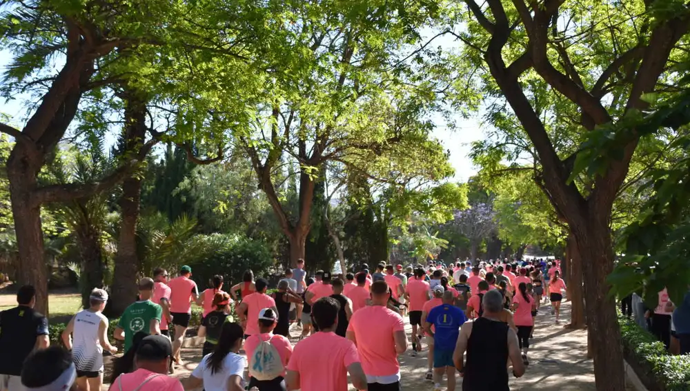 Más de 1.000 participantes en la jornada de la I Carrera Solidaria ‘5K Pasos que Cuentan’ organizada por el Hospital Quirónsalud Torrevieja Más de 1.000 participantes en la jornada de la I Carrera Solidaria ‘5K Pasos que Cuentan’ organizada por el Hospital Quirónsalud Torrevieja