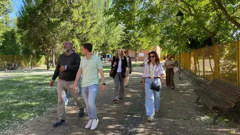 El PP reclama mejoras en el acerado y un mayor cuidado de las zonas verdes en el barrio de Allende el Río .