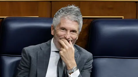 El ministro del Interior, Fernando Grande Marlaska, hoy en el Congreso El ministro del Interior, Fernando Grande Marlaska, hoy en el Congreso/ EFE/ Chema Moya