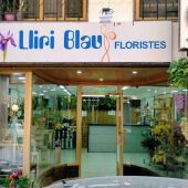 Lliri Blau en Alzira