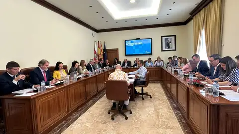 Pleno de la Diputación de Teruel celebrado esta mañana PLENO DPT